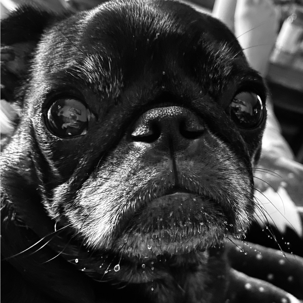 Meet your Posher, Chrystal